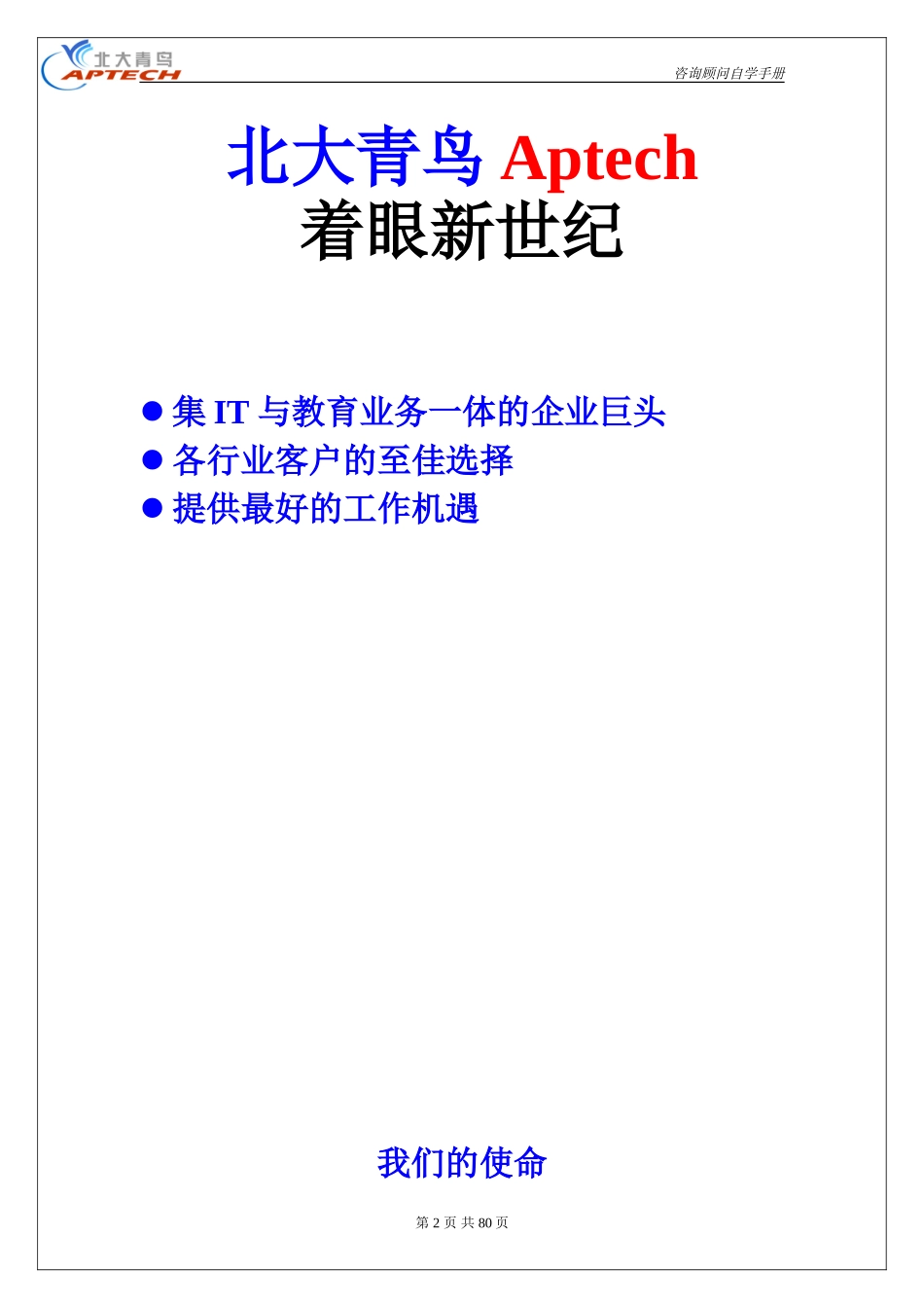 咨询手册.doc_第2页