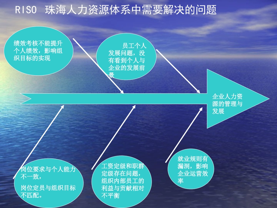 RISO人力资源体系培训讲义.ppt_第2页