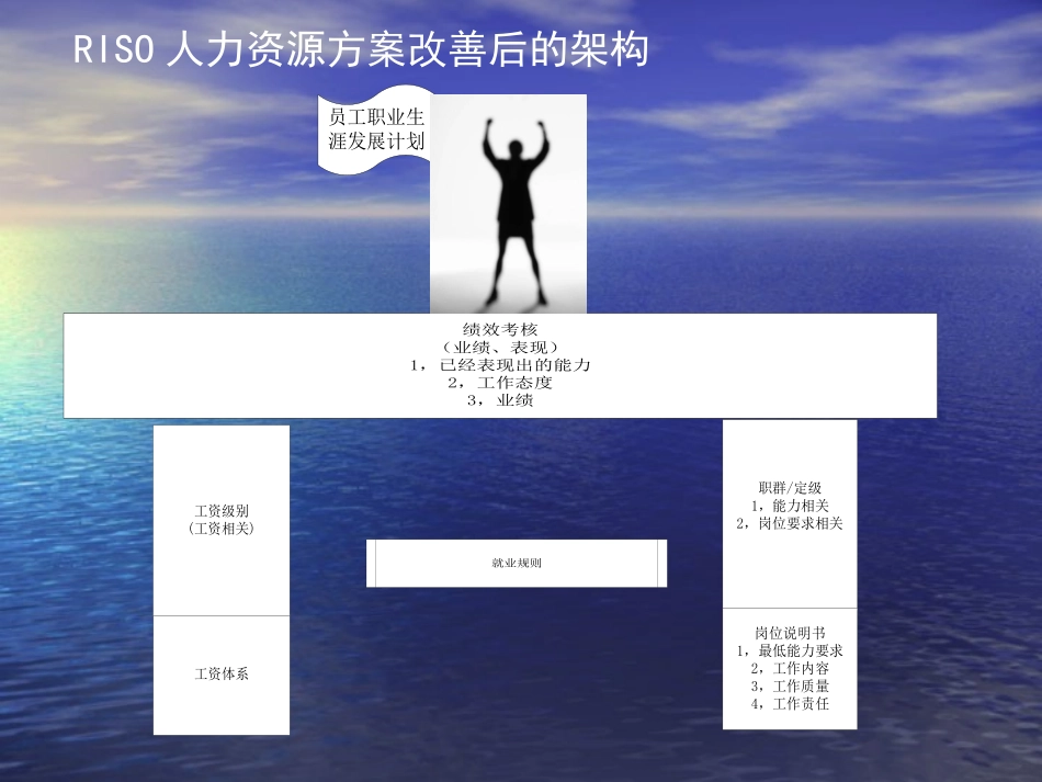 RISO人力资源体系培训讲义.ppt_第3页