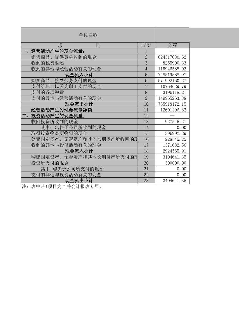 现金流量表－2003－物润合并及子公司.XLS_第1页