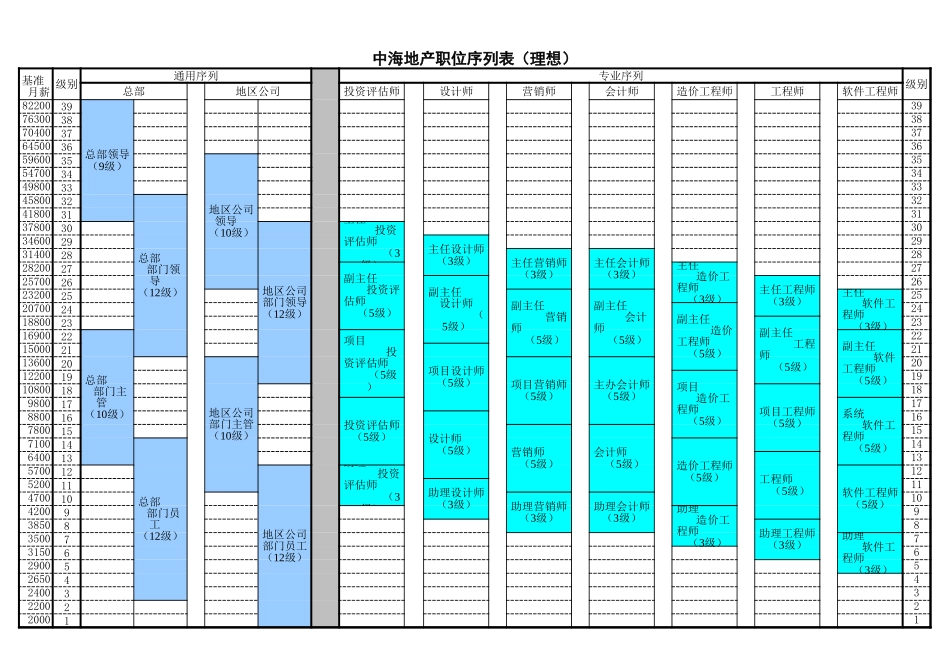 10中海地产－职位序列表.xls_第1页