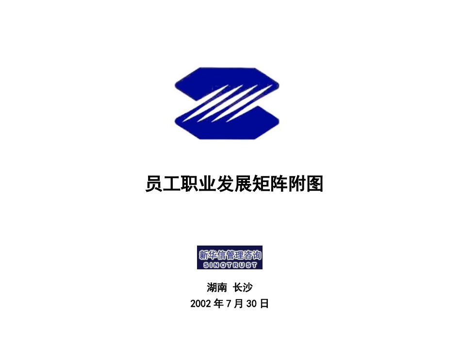 028-职业发展矩阵附表-0802.ppt_第1页
