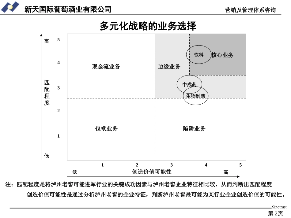 新天战略和文化.ppt_第2页