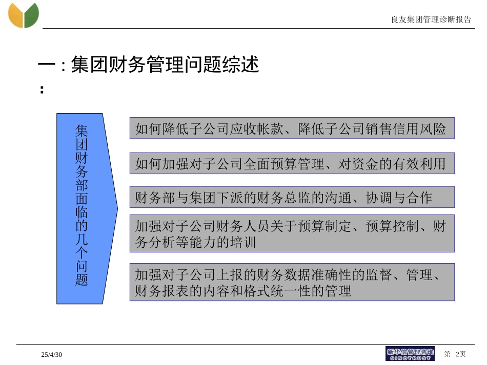 良友诊断报告-财务采购-030314-徐.ppt_第2页