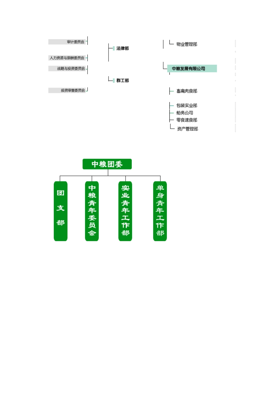 中粮结构及团组织结构.doc_第2页
