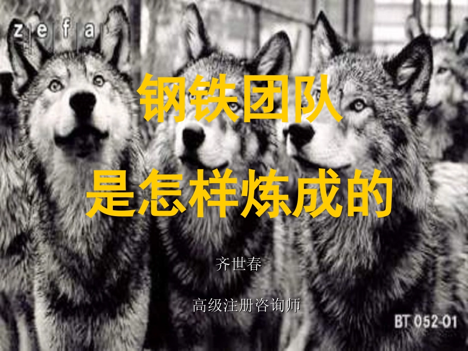 团队管理-齐世春.ppt_第1页