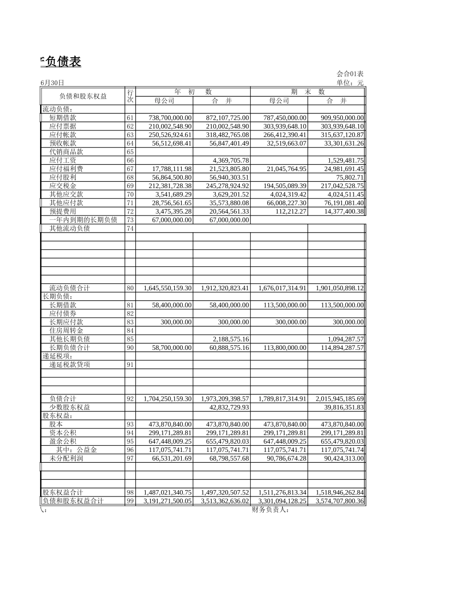 新华信-嘉陵-财务报表.XLS_第2页