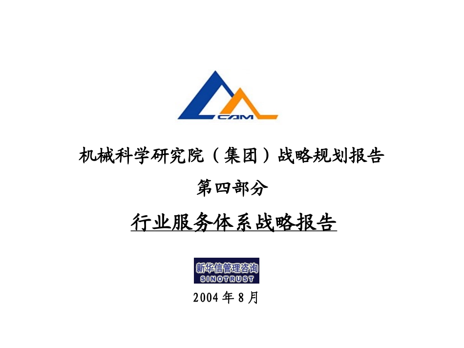 04行业服务体系战略报告.ppt_第1页