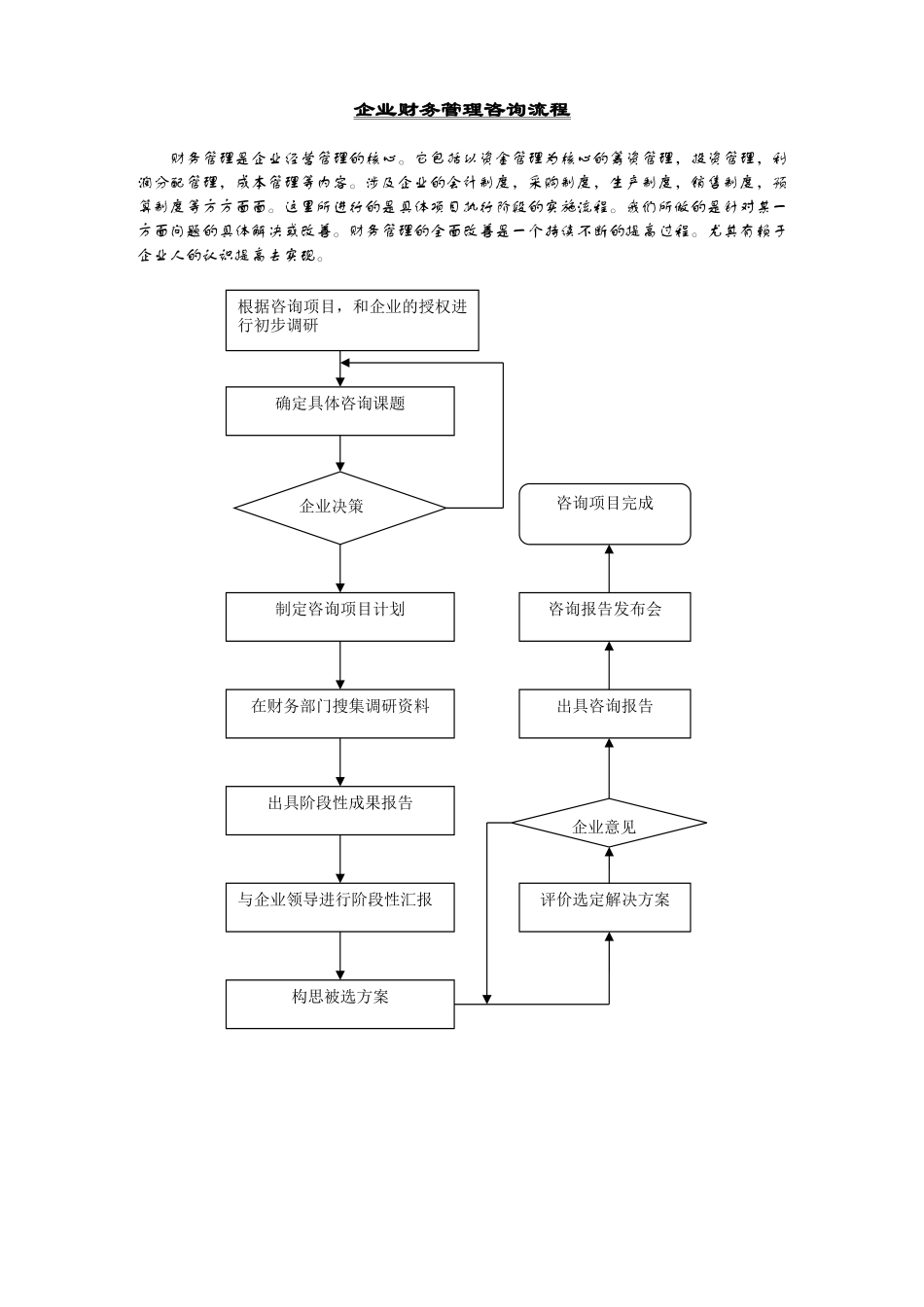 09企业财务咨询流程2.doc_第1页