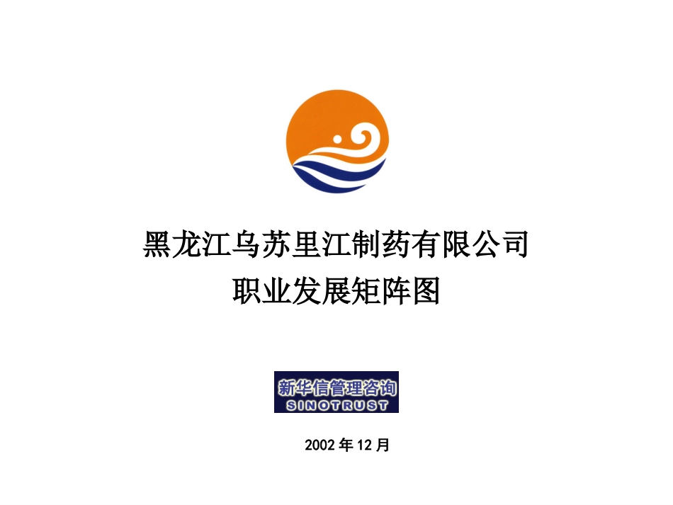 乌苏里江有限公司咨询项目-职业发展矩阵图1219.ppt_第1页