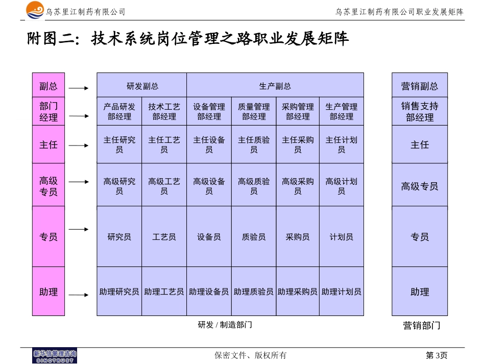 乌苏里江有限公司咨询项目-职业发展矩阵图1219.ppt_第3页