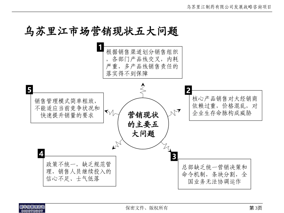 乌苏里江药业营销报告11-25.ppt_第3页