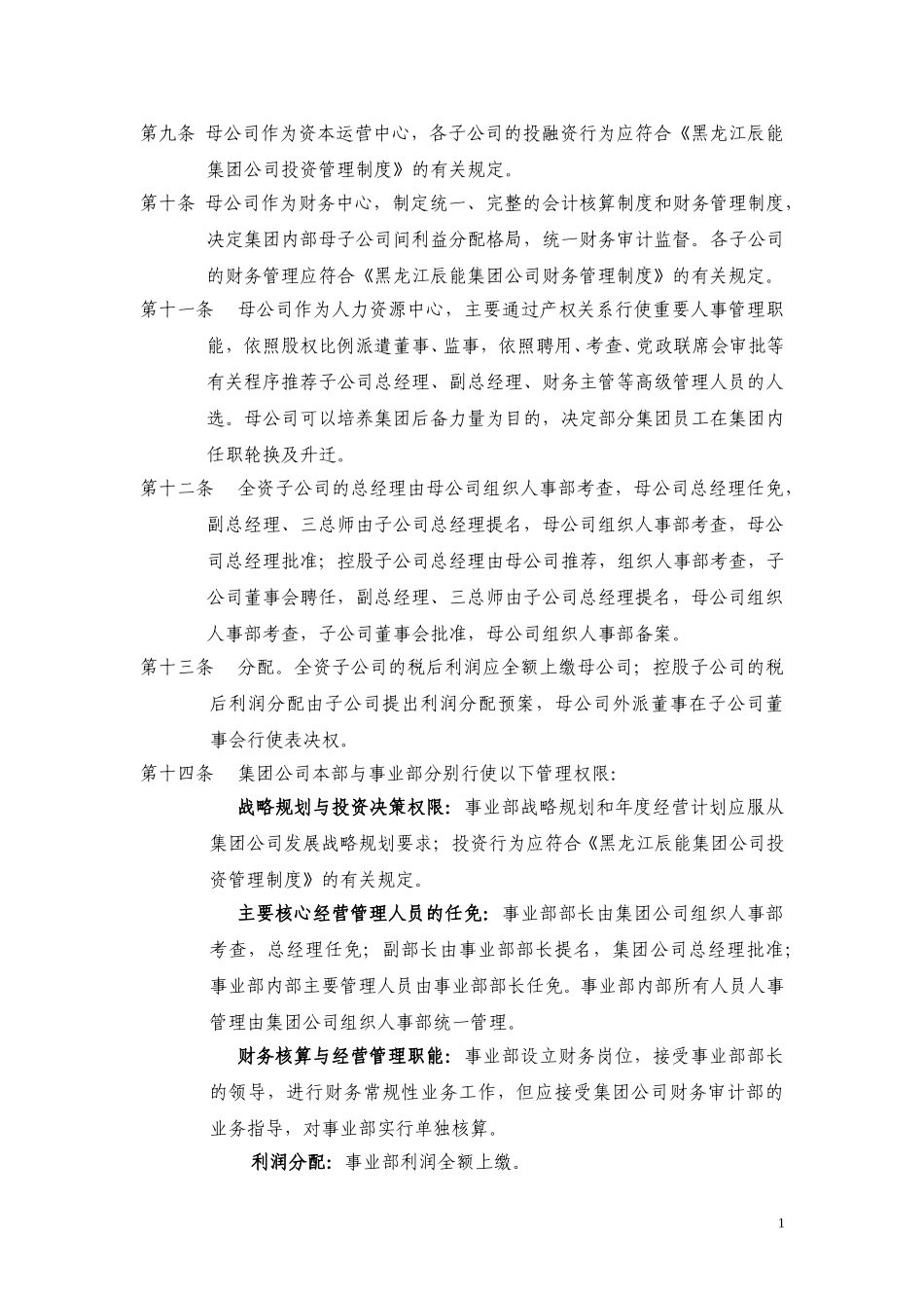 2黑龙江辰能集团公司母子公司管理制度.doc_第2页