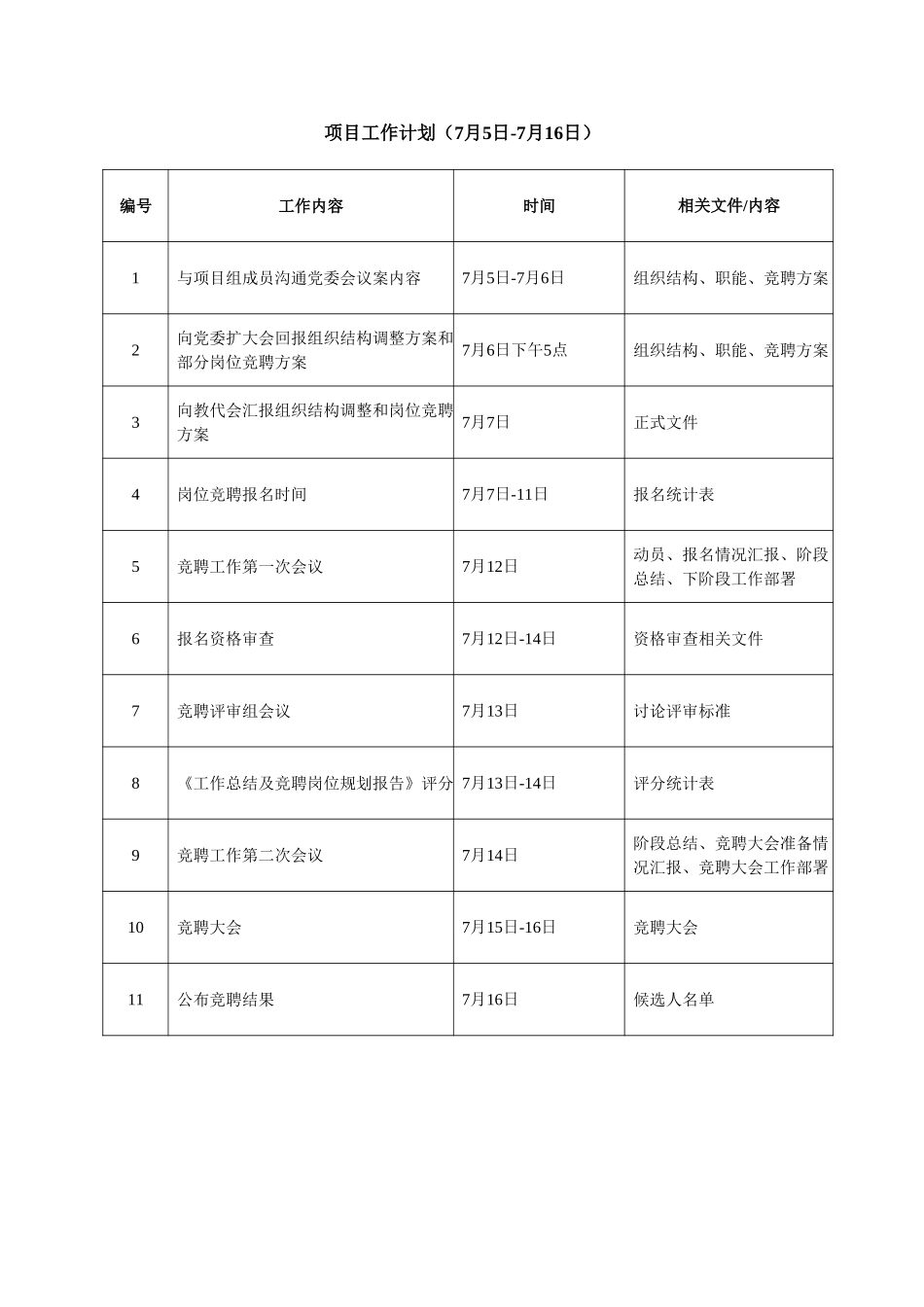 项目工作计划.doc_第1页