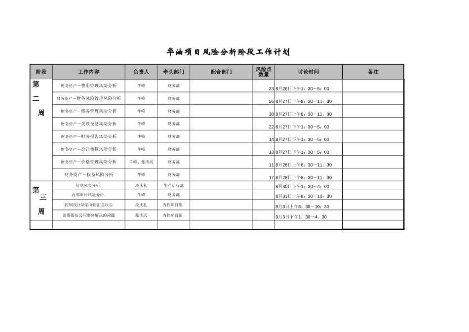 华油项目风险分析阶段工作计划.xls_第2页