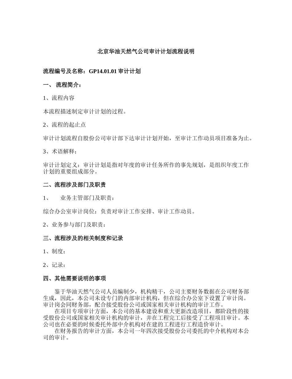 01 审计计划.doc_第1页