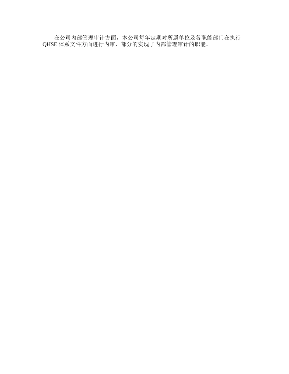 01 审计计划.doc_第2页