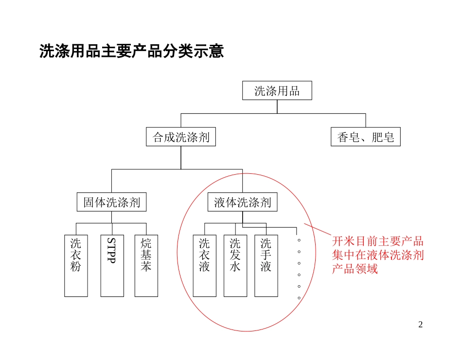 开米.ppt_第2页