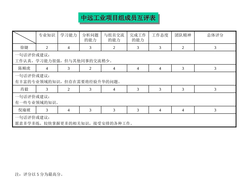 中远工业项目组成员互评表.ppt_第2页