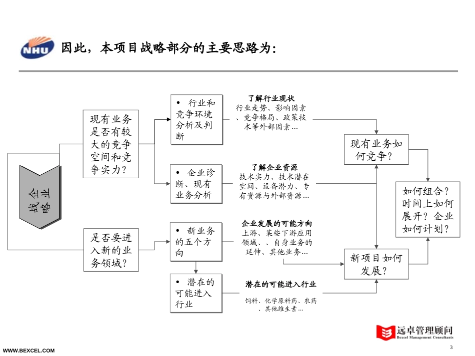 项目思路和研究框架（战略部分）.ppt_第3页