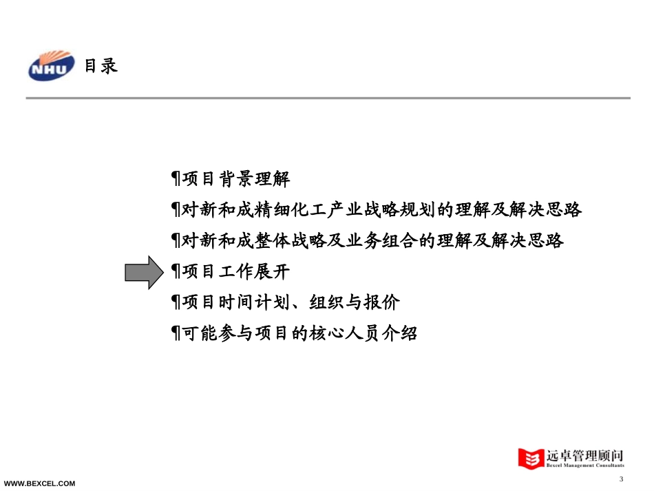 新和成项目建议书030506王浩.ppt_第3页