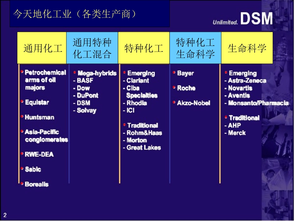 帝斯曼.ppt_第2页
