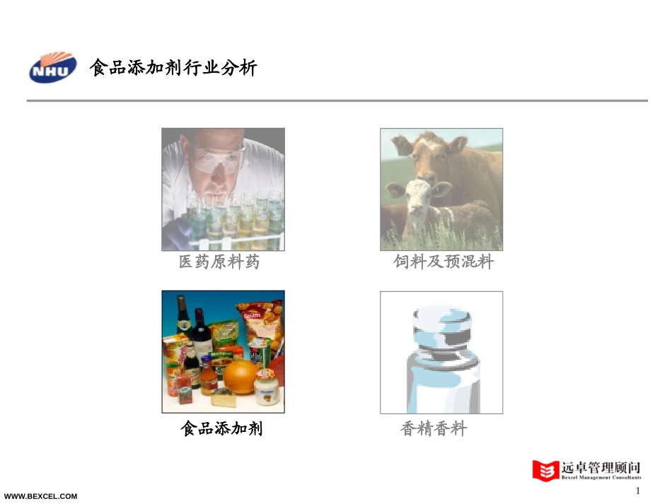 食品添加剂.ppt_第1页