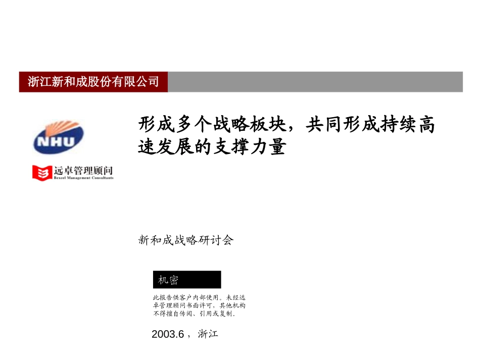 新和成战略研讨会030707王浩.ppt_第1页