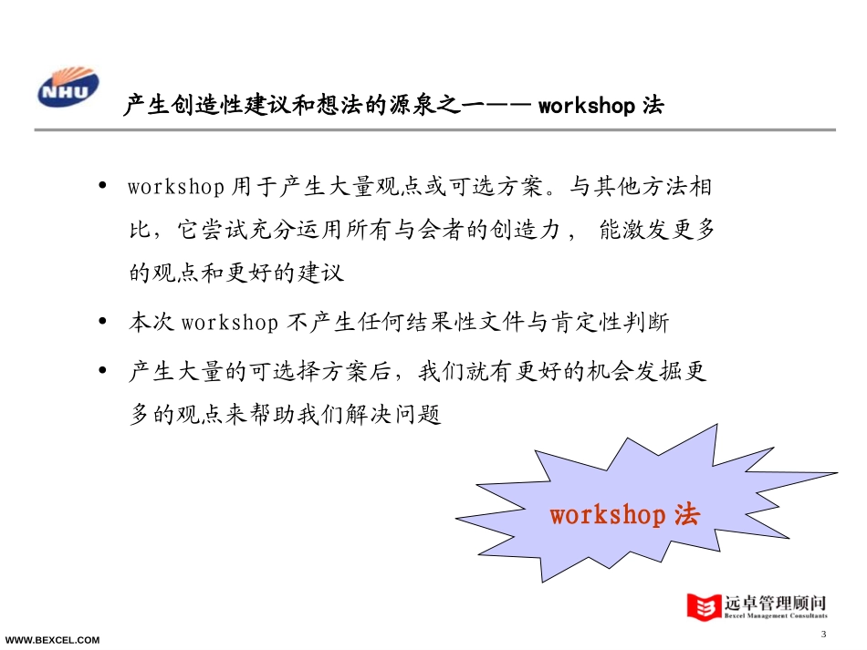 新和成战略研讨会030707王浩.ppt_第3页