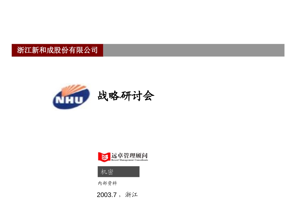 新和成战略研讨会－hxh-0710.ppt_第1页