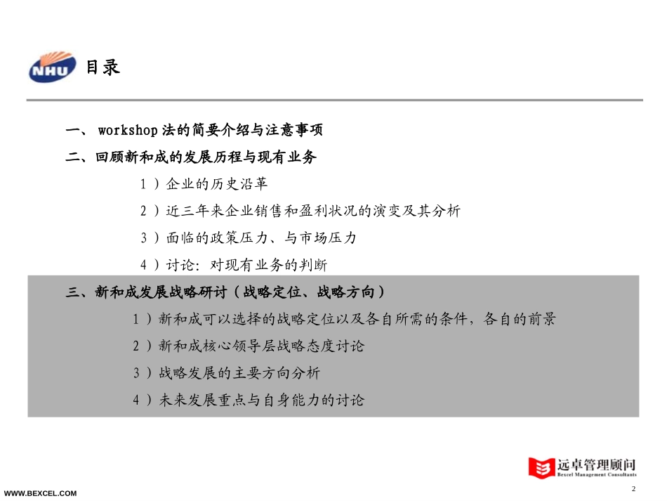新和成战略研讨会－hxh-0710.ppt_第2页
