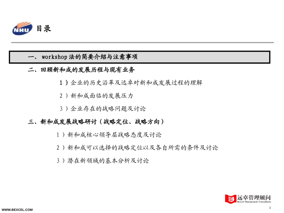 新和成战略研讨会－hxh-0721-wh.ppt_第3页