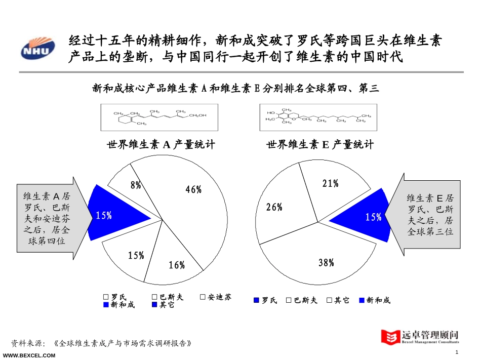 新和成战略研讨会－wh-hxh-0721.ppt_第1页