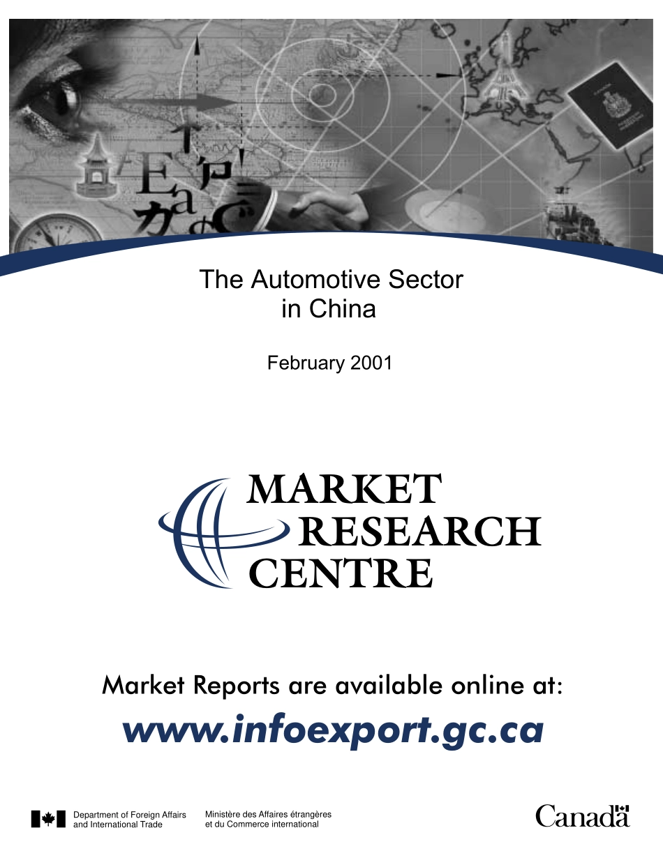the auto sector in china.pdf_第1页