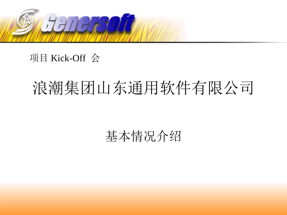 浪潮通软项目情况介绍.ppt_第1页