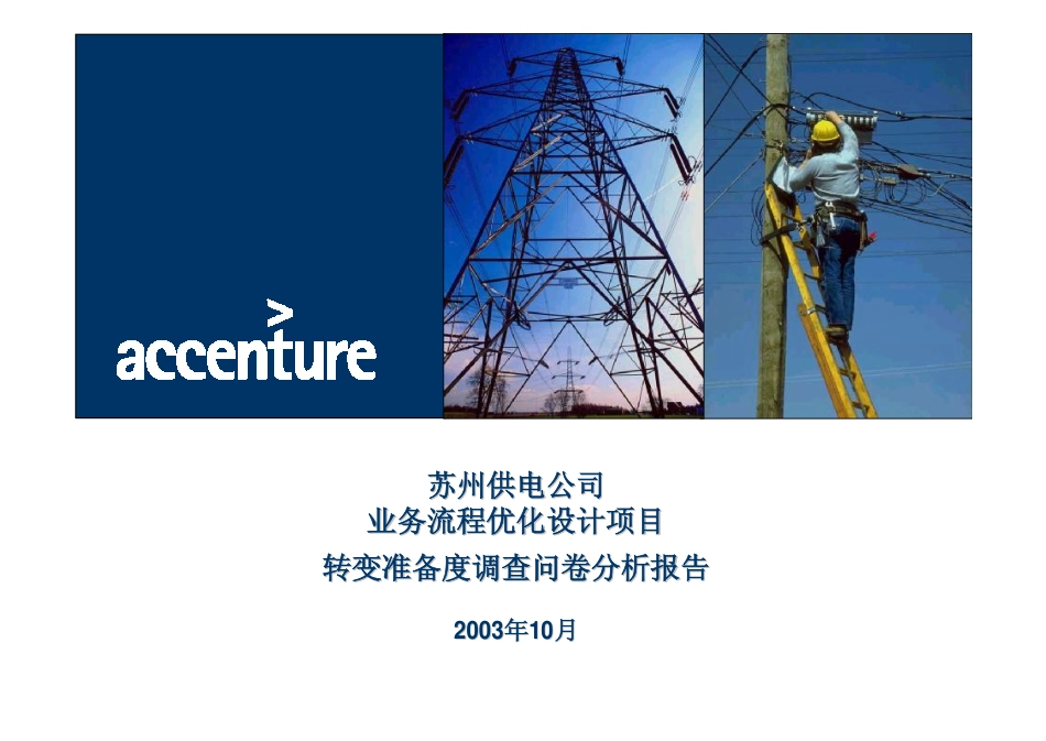 DE_转变准备度调查问卷分析报告_271003 WW.pdf_第1页