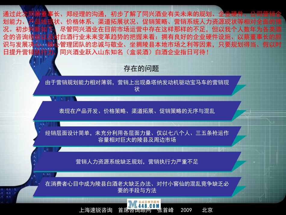 项目建议书《2009年山东同兴酒业公司真卿酒营销战略咨询项目建议书》(48页).ppt_第2页