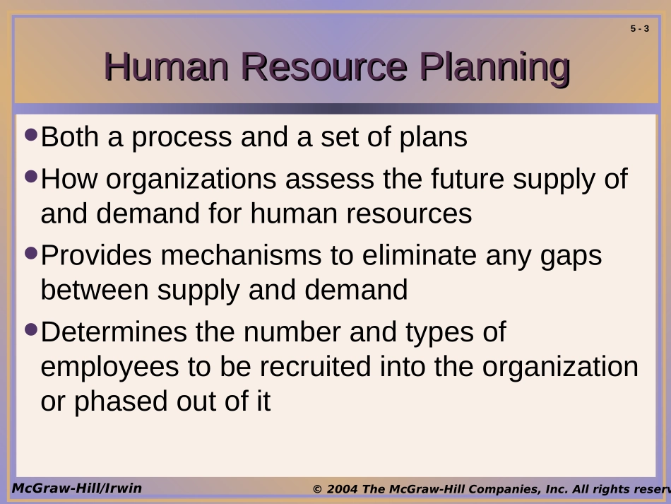 Human Resource Planning.ppt_第3页