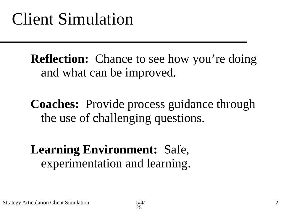 SACS.PPT_第2页