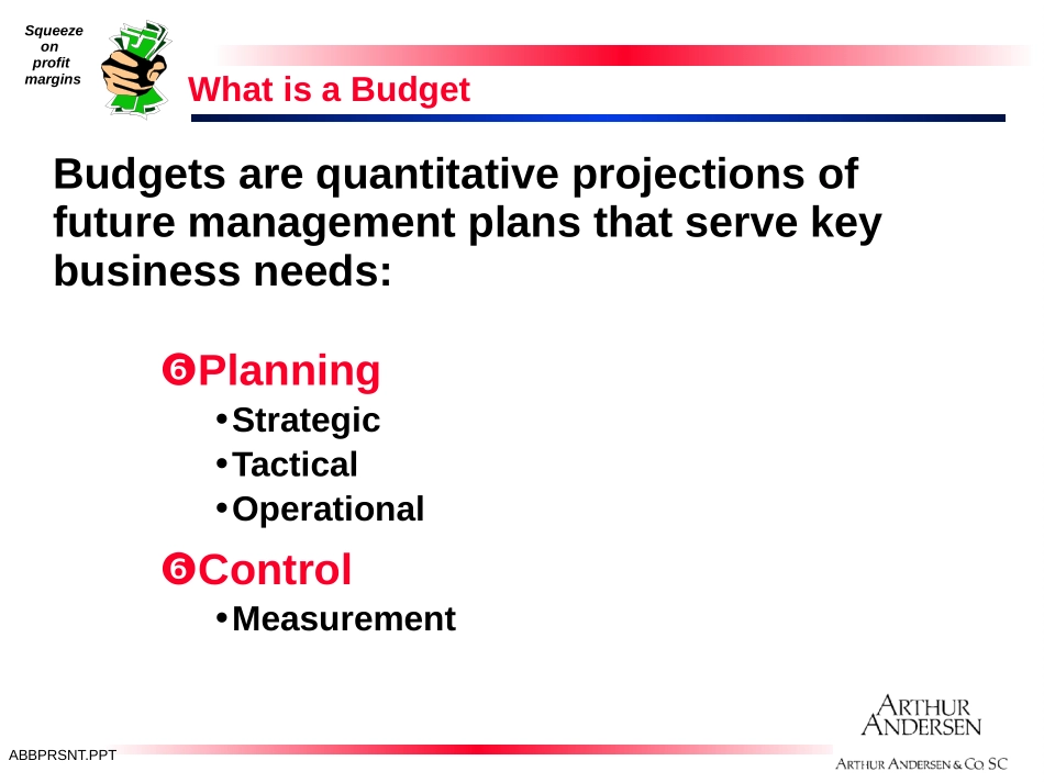 ABBPRSNT.PPT_第2页