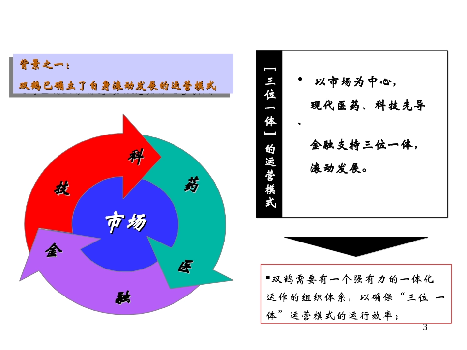双鹤药业集团组织发展规划修改稿.ppt_第3页