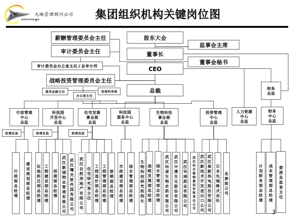 组织架构操作方案.ppt_第3页