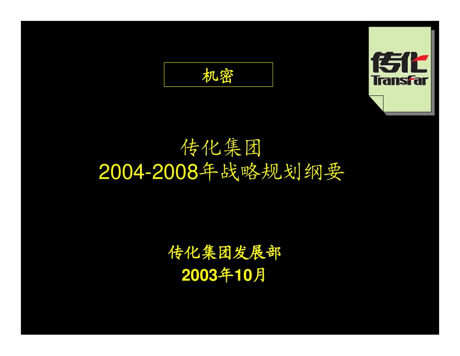 传化集团战略规划20031109-1.pdf_第1页