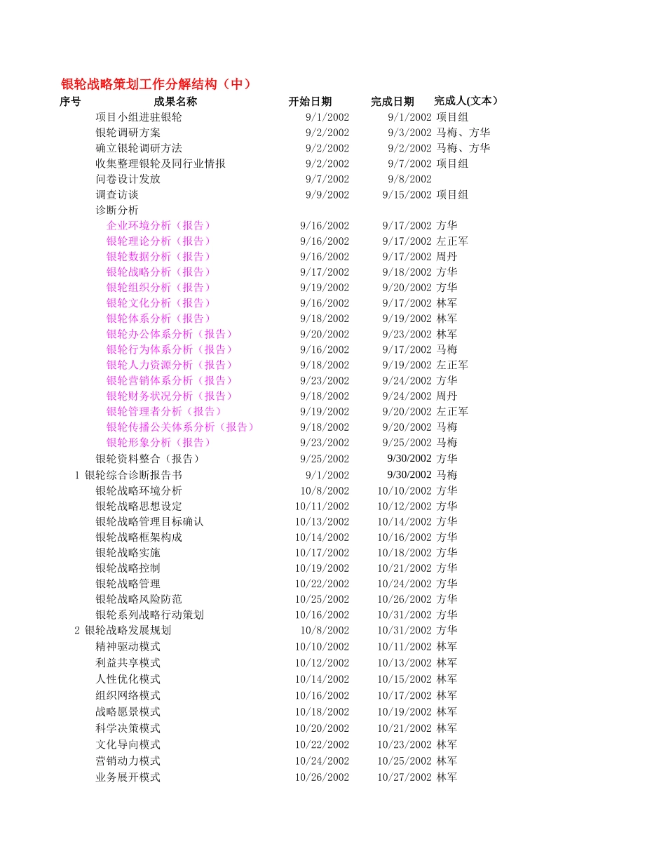 银轮战略策划工作分解结构.xls_第2页