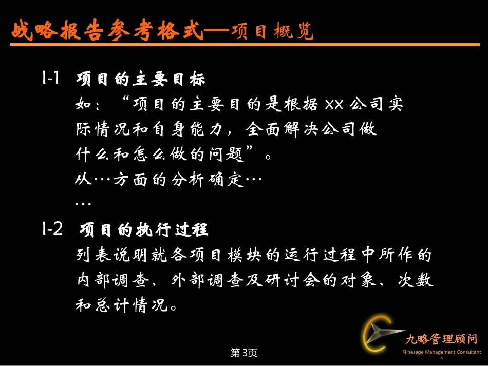 战略报告格式.ppt_第3页