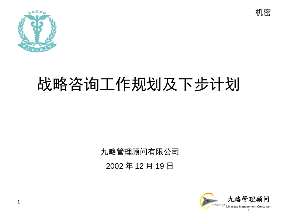 战略咨询工作小结及下步计划.ppt_第1页