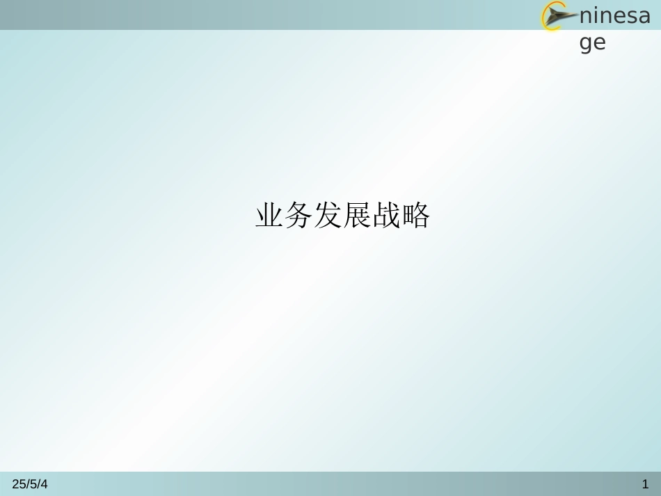 业务发展战略1.ppt_第1页