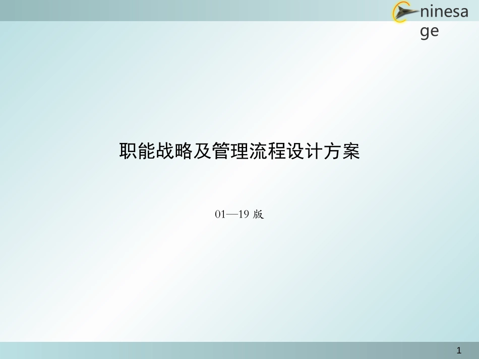 职能战略设计方案0119.ppt_第1页