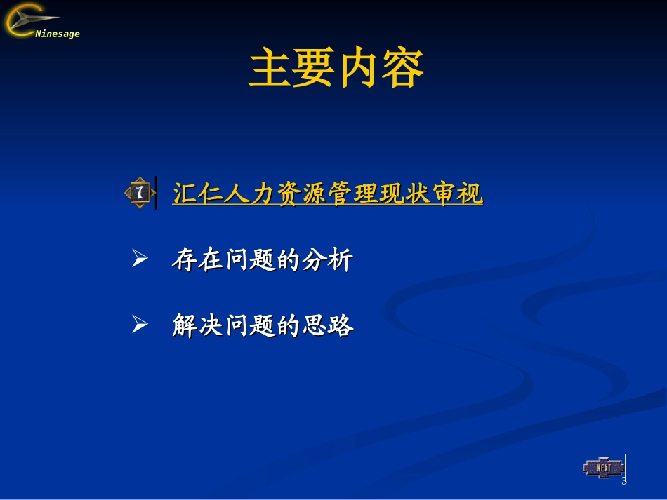 内部诊断报告（HR）wh0414.ppt_第3页