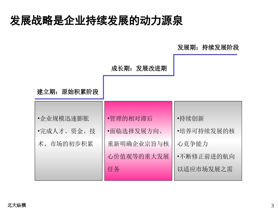 0128 发展战略梳理 YHD.ppt_第3页